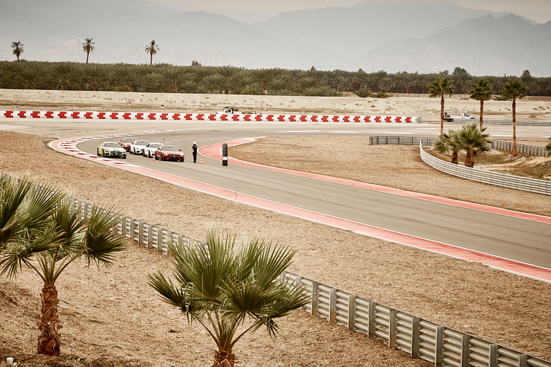 Illustration for article titled Massive AMG GT-S track day photo dump #2